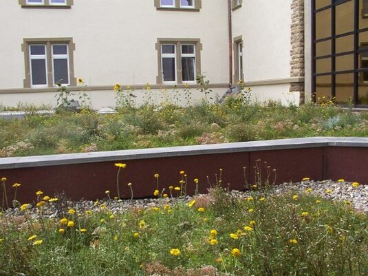 Biodiversitätsdächer verbinden modernes Bauen mit Natur. Strukturreiche Aufbauten bieten Nahrung, Schutz und Lebensräume.<br />