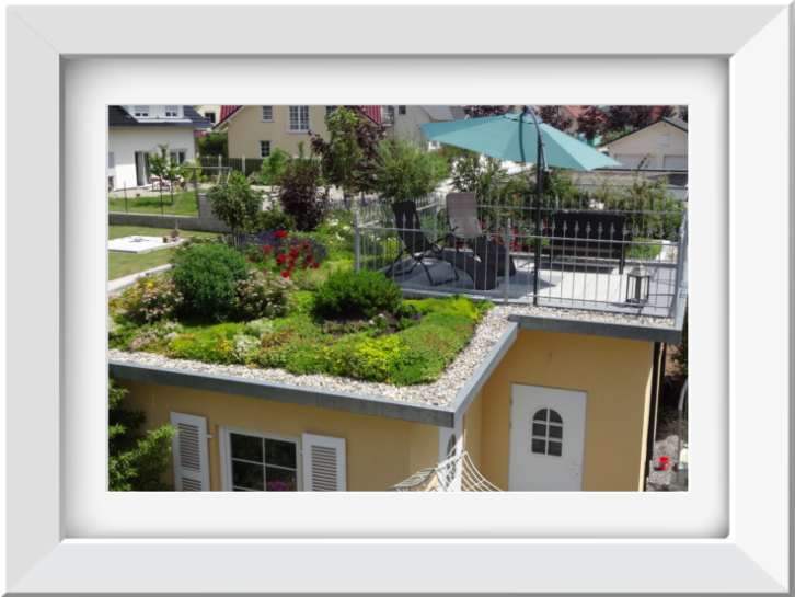 Für eine Schrägdachbegrünung müssen bestimmte Voraussetzungen erfüllt sein, damit das System sicher realisiert werden kann. Eine individuelle Beratung ist hierbei unerlässlich, um sicherzustellen, dass die Begrünung dauerhaft funktioniert und ihre volle Funktionsfähigkeit behält. Grundsätzlich gilt: Je steiler das Dach, desto höher der technische Aufwand und desto sorgfältiger müssen Aufbau, Materialwahl und Sicherung geplant werden.