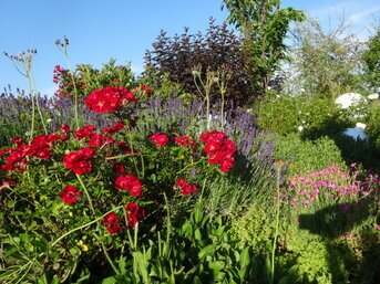 Planung einer Dachbegrünung mit abgestimmtem Schichtaufbau, geeigneter Pflanzenwahl und nachhaltigem Wassermanagement für langlebige, ökologische und klimaaktive Dachflächen.