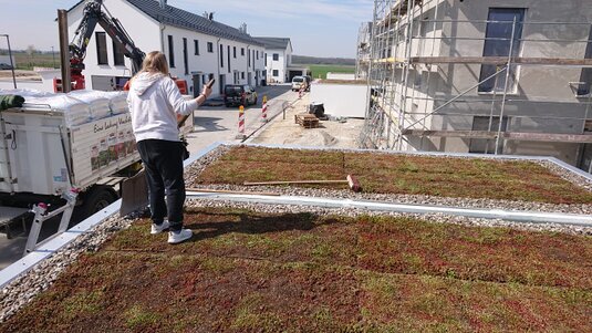 Fachgerecht ausgeführte Dachbegrünung vom Spezialisten mit optimalem Schichtaufbau, gesunder Vegetation und langlebiger Dachfunktion.