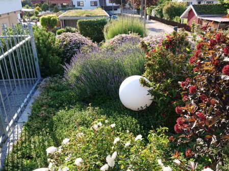 Planung einer intensiven Dachbegrünung mit hoher Substratstärke, vielfältigen Pflanzen und nutzbaren Grünflächen für langlebige, ökologische Dachlandschaften.