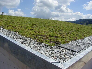 Dachbegrünung auf Schrägdächern – mit Sicherungssystemen