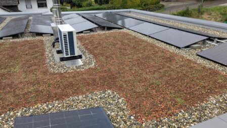Planung einer Photovoltaikanlage mit Dachbegrünung, optimalen Modulabständen und klimaaktiver Sedum‑Bepflanzung für maximale Energieeffizienz.