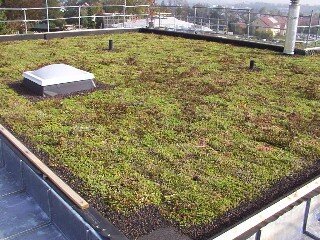 Fördermöglichkeiten für Dachbegrünungen mit kommunalen und staatlichen Zuschüssen für umweltfreundliche Bauvorhaben.